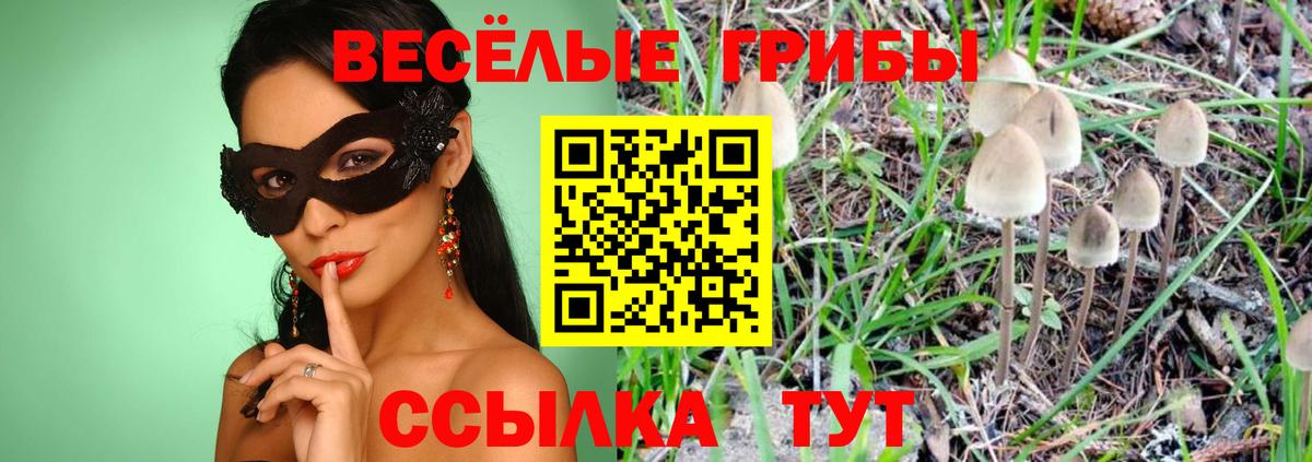 Псилоцибиновые грибы MAGIC MUSHROOMS  купить наркоту  Вход с VPN  Новодвинск  Галлюциногенные грибы ЛСД 